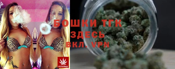 гашик Белокуриха
