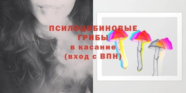 mdma Богородицк
