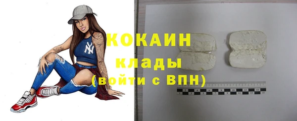 гашик Белокуриха