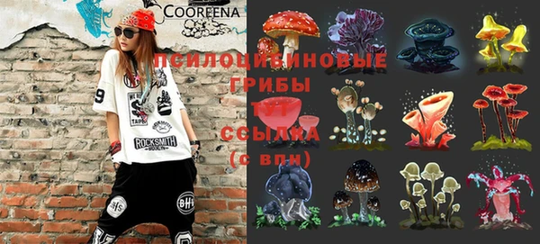 гашик Белокуриха