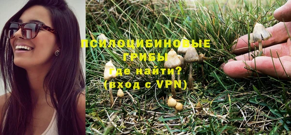 гашик Белокуриха